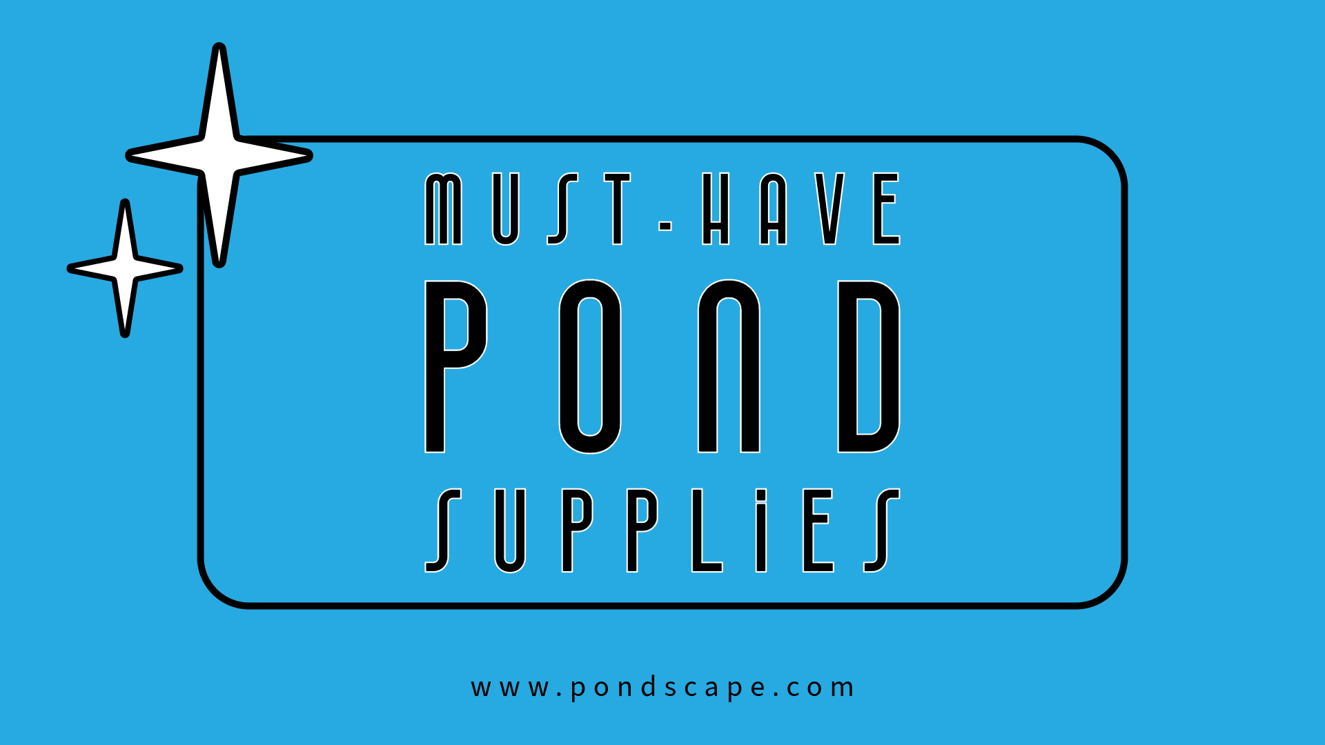 The Ultimate Guide to Essential Koi Pond "Must Haves" for Beginners