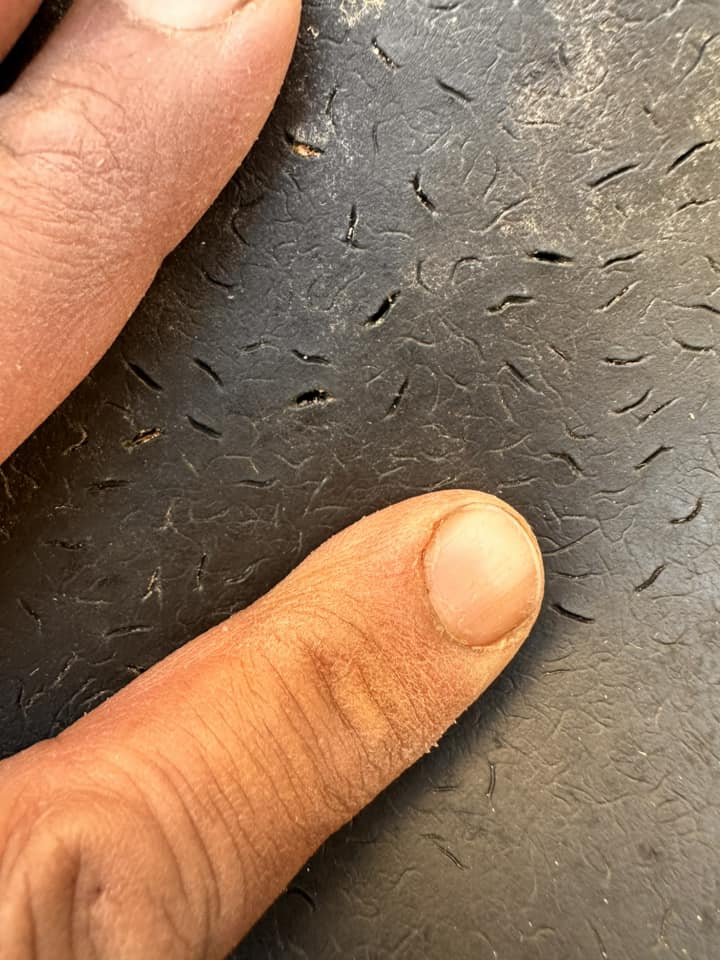Close-up example related to insect marks on exposed EPDM pond liner.