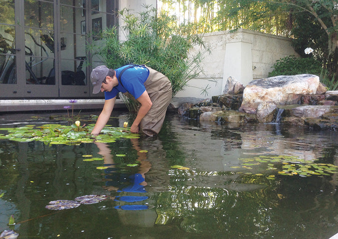 How to Thin Out Overgrown Pond Plants
