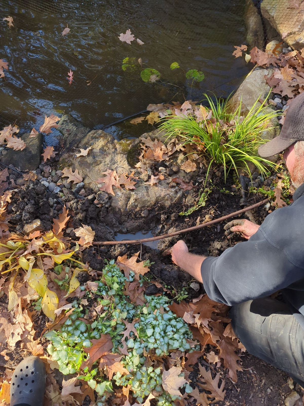 Is My Pond Losing Water to Evaporation or a Leak?