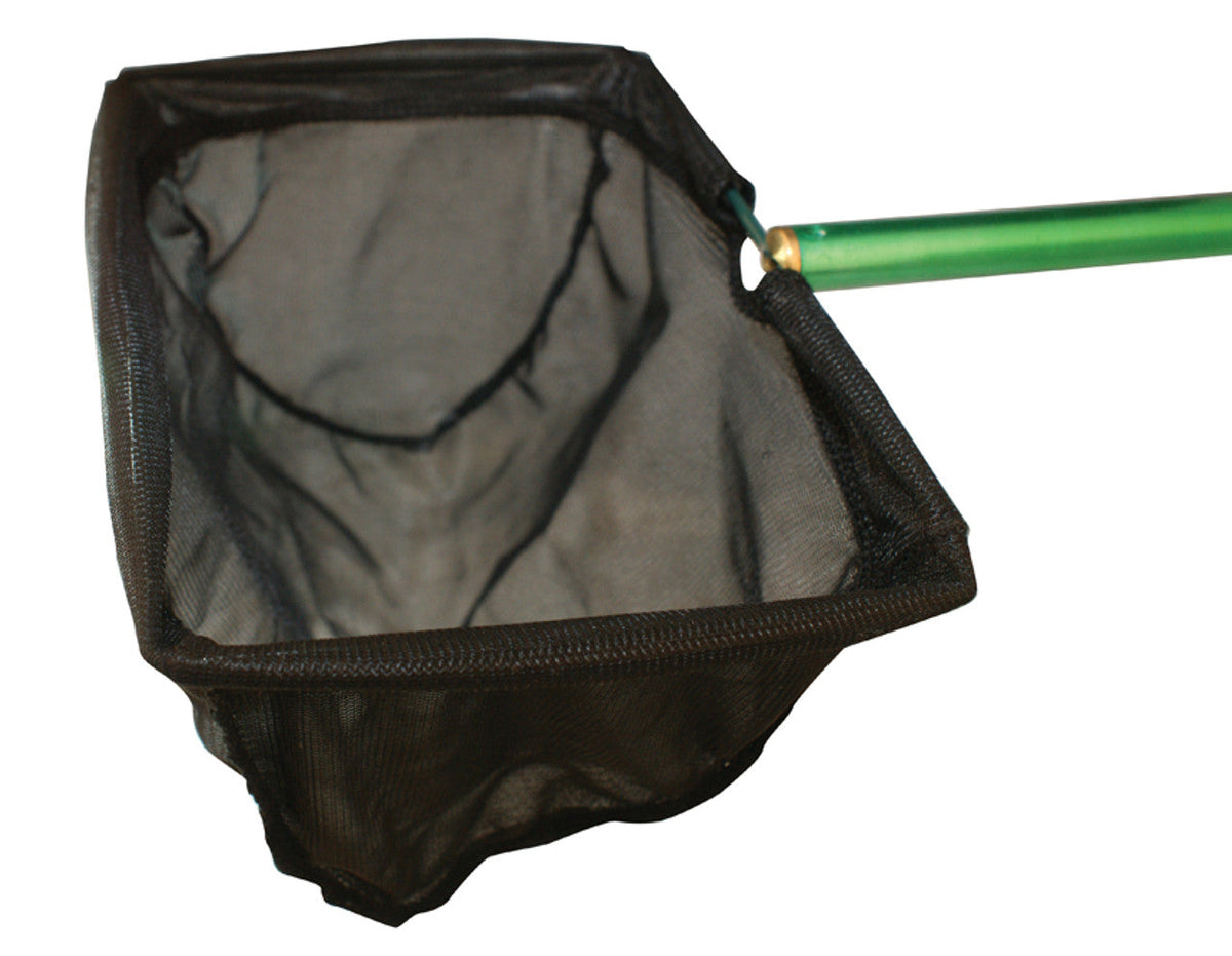 How Do I Transport, Net, and Move Pond Fish Safely?