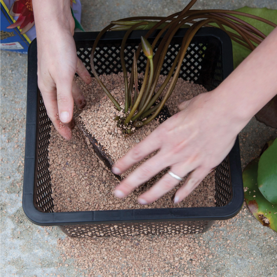 Oase Aquatic Plant Basket