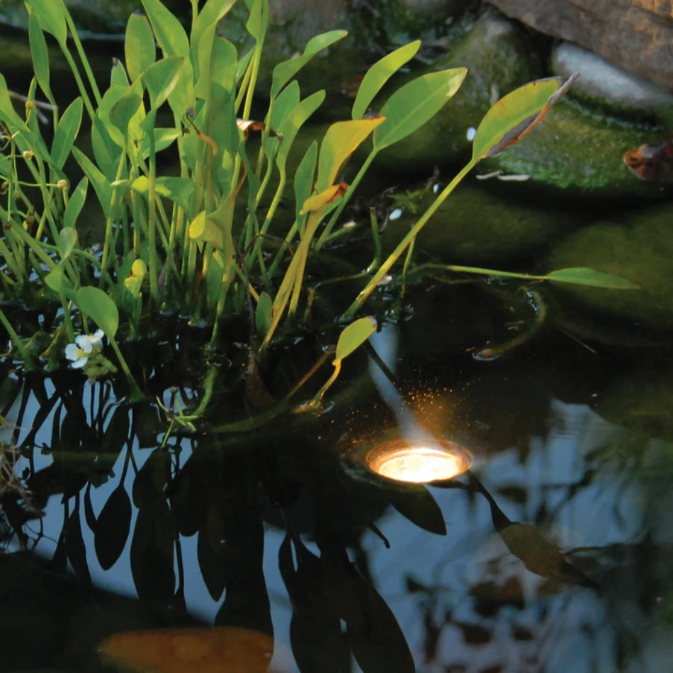 Pond Boss Pond and Landscape Light