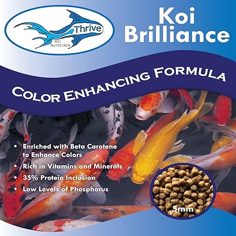 Thrive Koi Brilliance Color Enhancing Formula