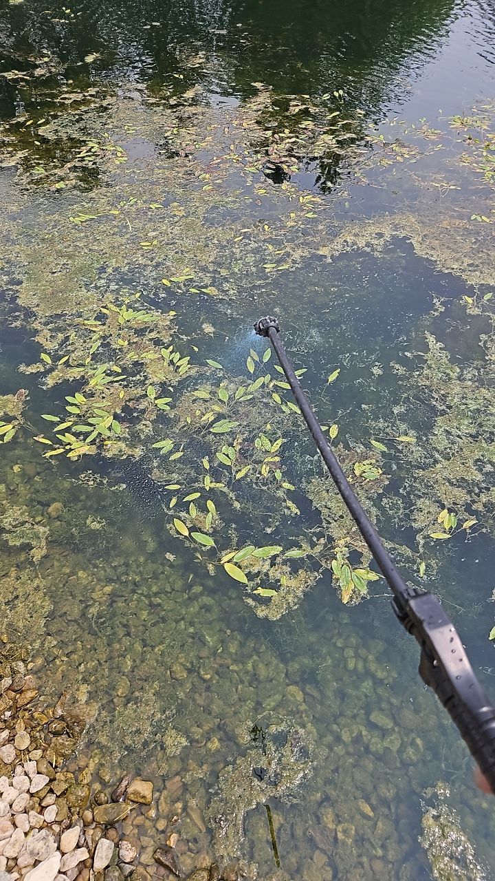 PondScape Recurring Maintenance Programs for Earthen Ponds SILVER Ext