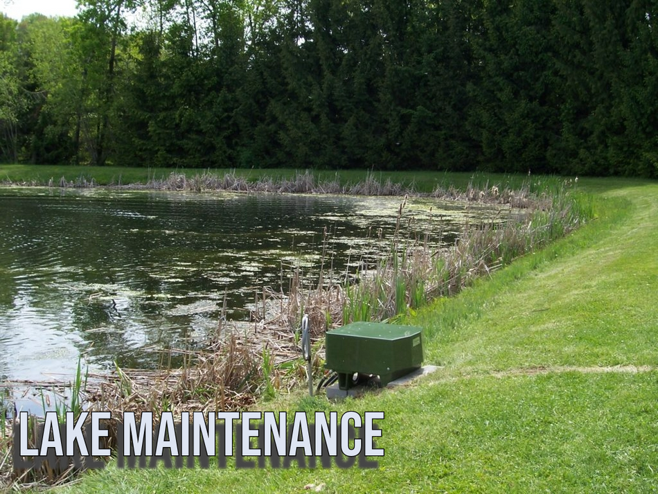 PondScape Recurring Maintenance Programs for Earthen Ponds SILVER Plus