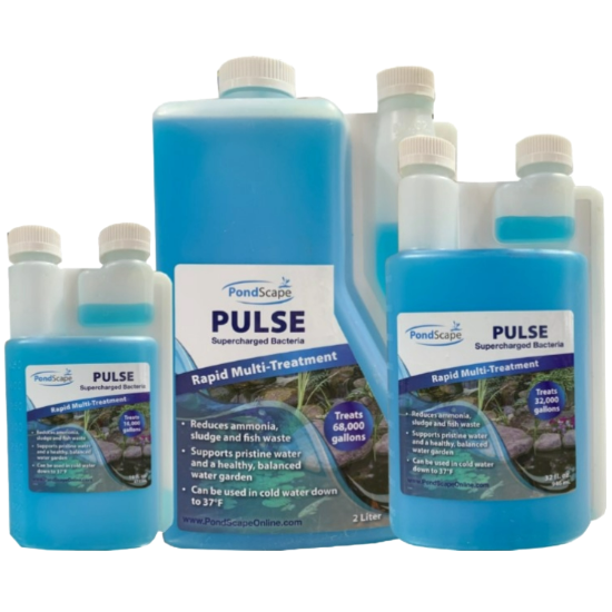 PondScape Pulse Supercharged Liquid Bacteria