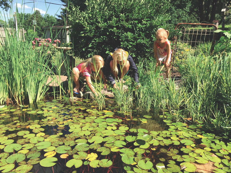 Blue Thumb Pond Kit - Thumbnail 5