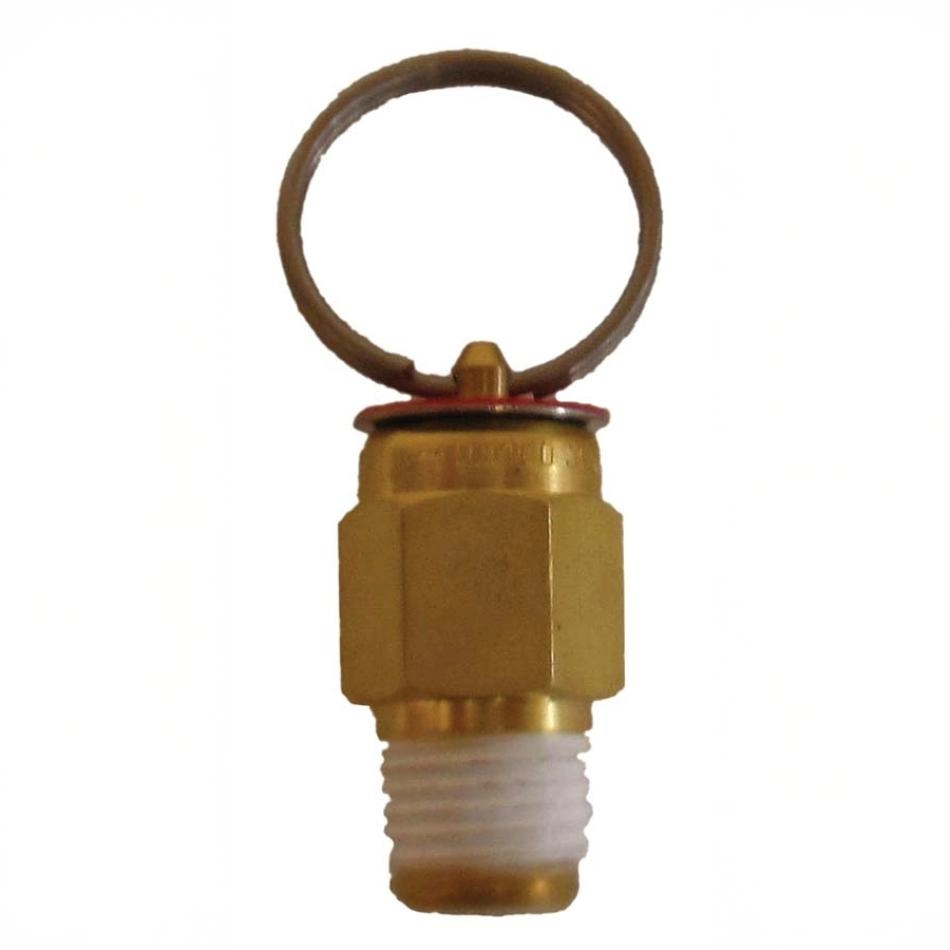 EasyPro PR10 10 PSI pressure relief valve