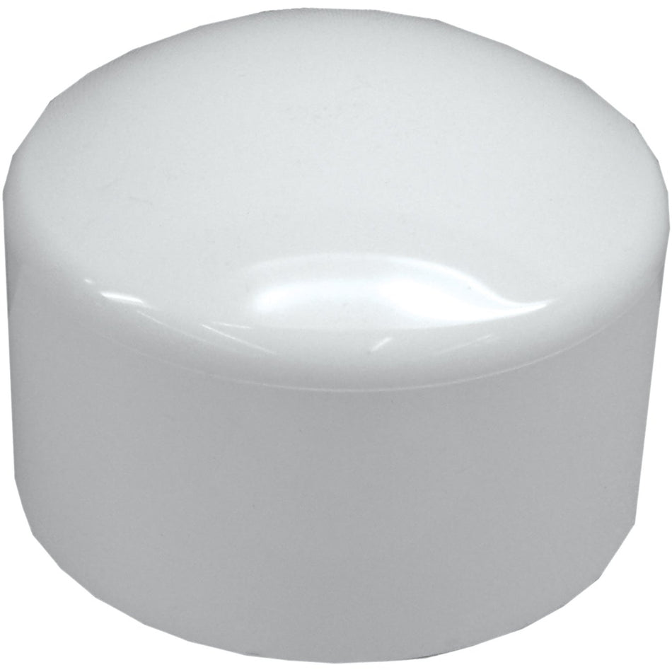 PVC FPT Cap