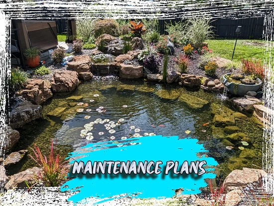 PondScape Platinum Recurring Maintenance OPP180