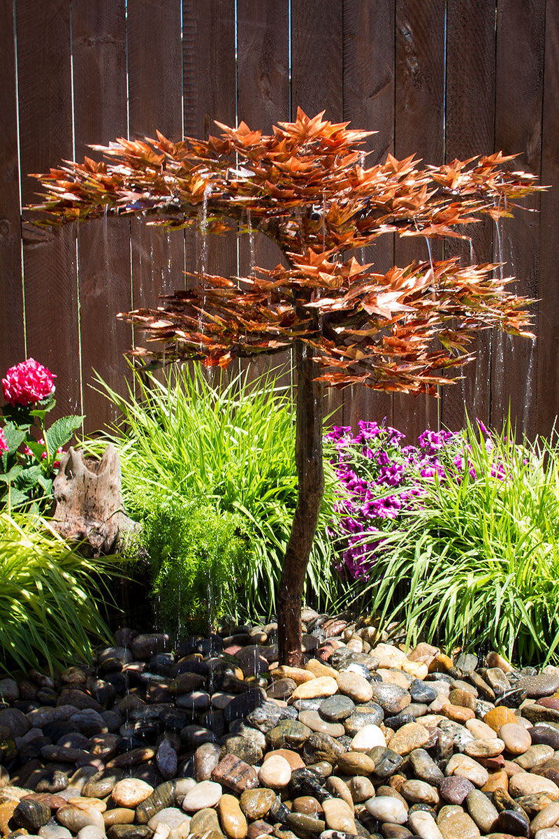 Blue Thumb Japanese Maple Tree Fountain