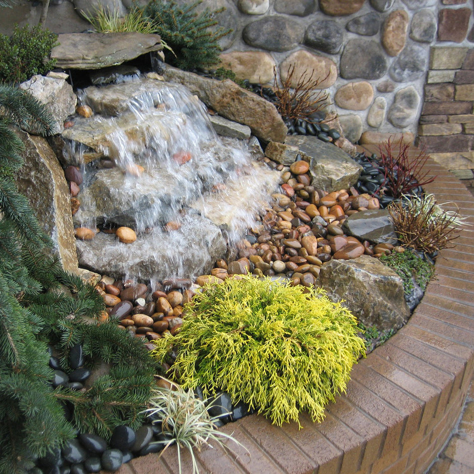 Blue Thumb Corner Cascade Falls Box