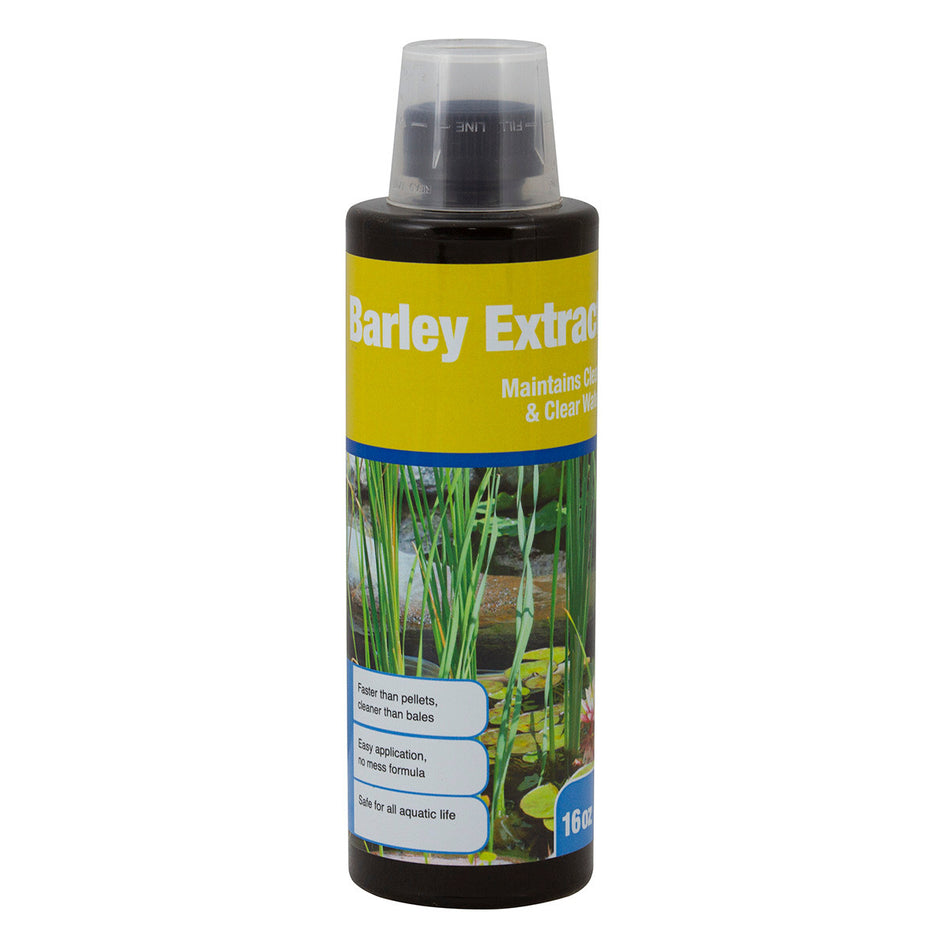 Blue Thumb Barley Extract Liquid