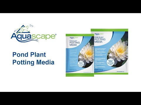pond plant potting media Aquascape Pond Plant Potting Media – Pondscape
