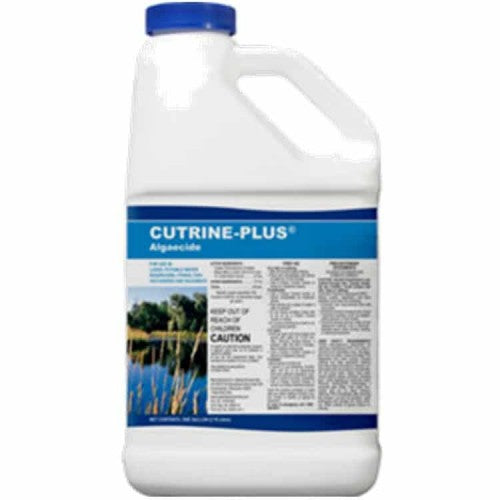 Cutrine Plus 1gal