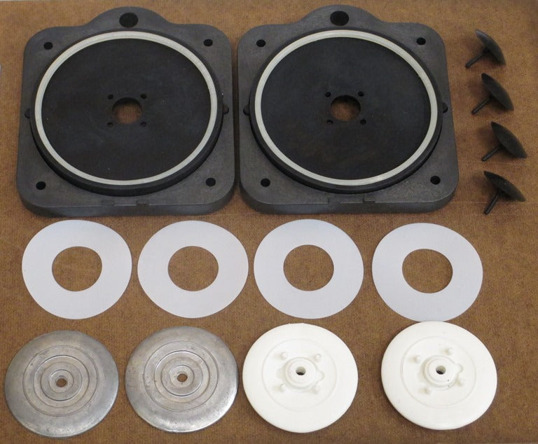 EasyPro REPLACEMENT Diaphragm Kit for EPW Series
